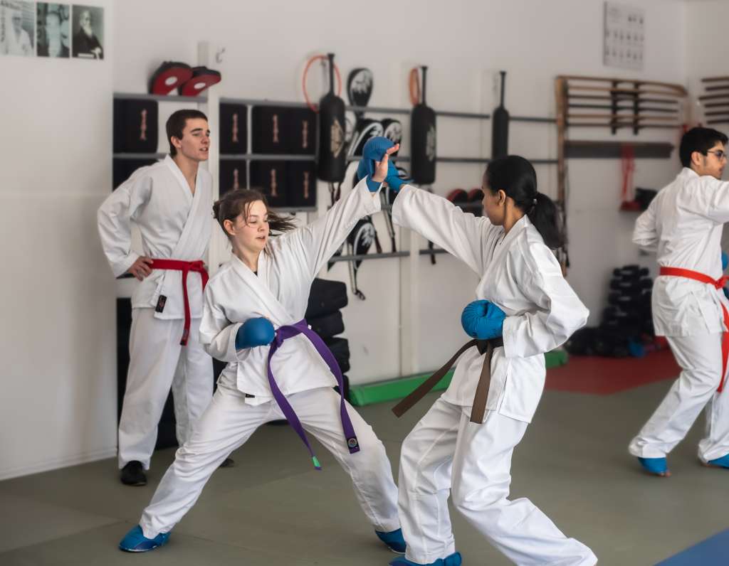 Taekwondo ou Karaté : Quelles Différences et Pourquoi Choisir le Karaté ?

